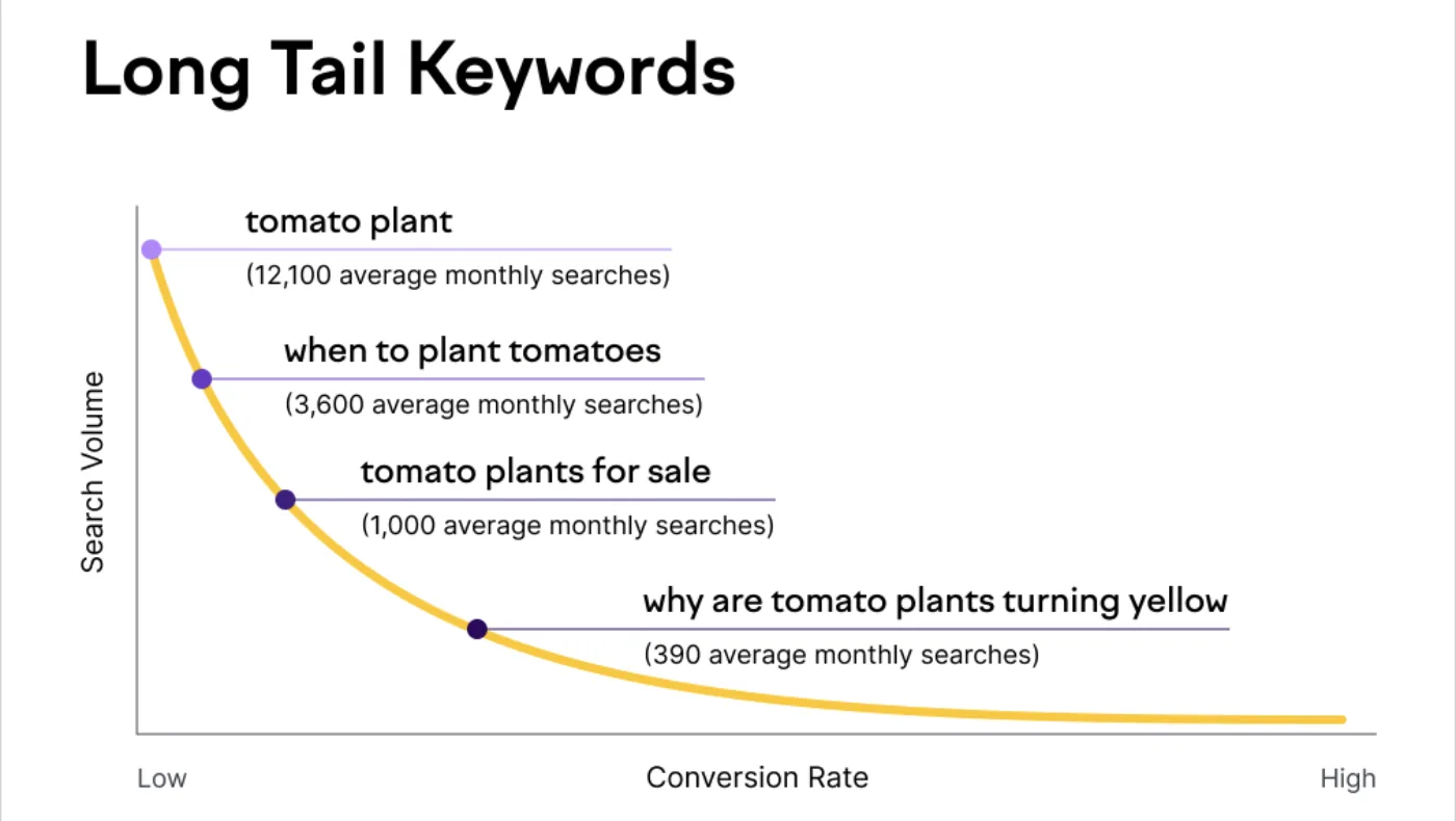 Long-Tail Keywords