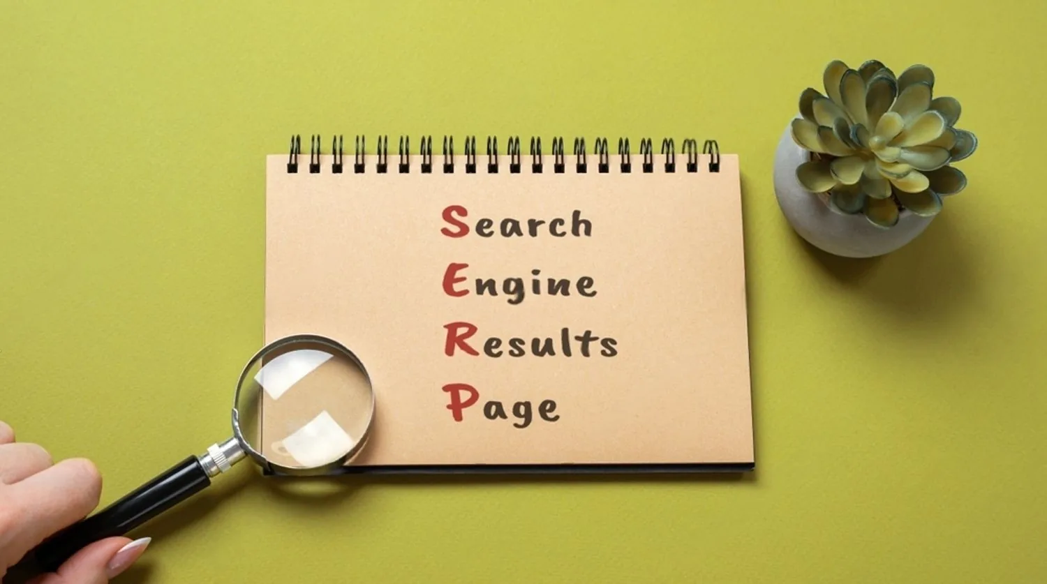 What Are SERP Features